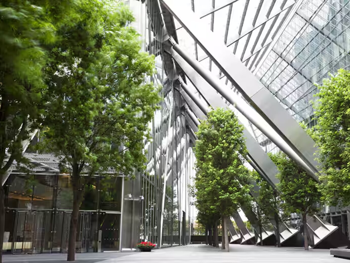 An office atrium surrounded by trees